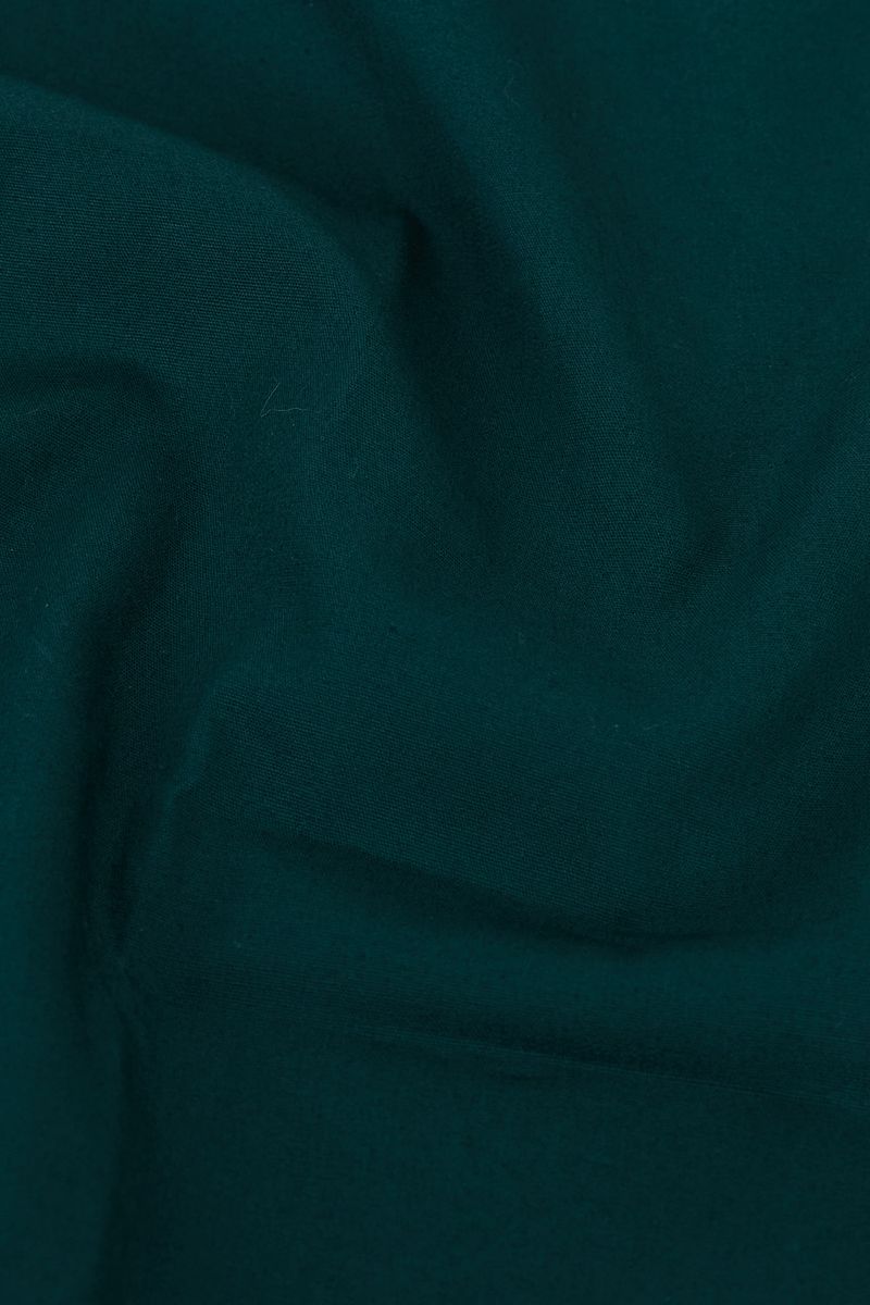 Camisa-Algodao-Fio-40-VERDE-BANDEIRA-065-19767-01